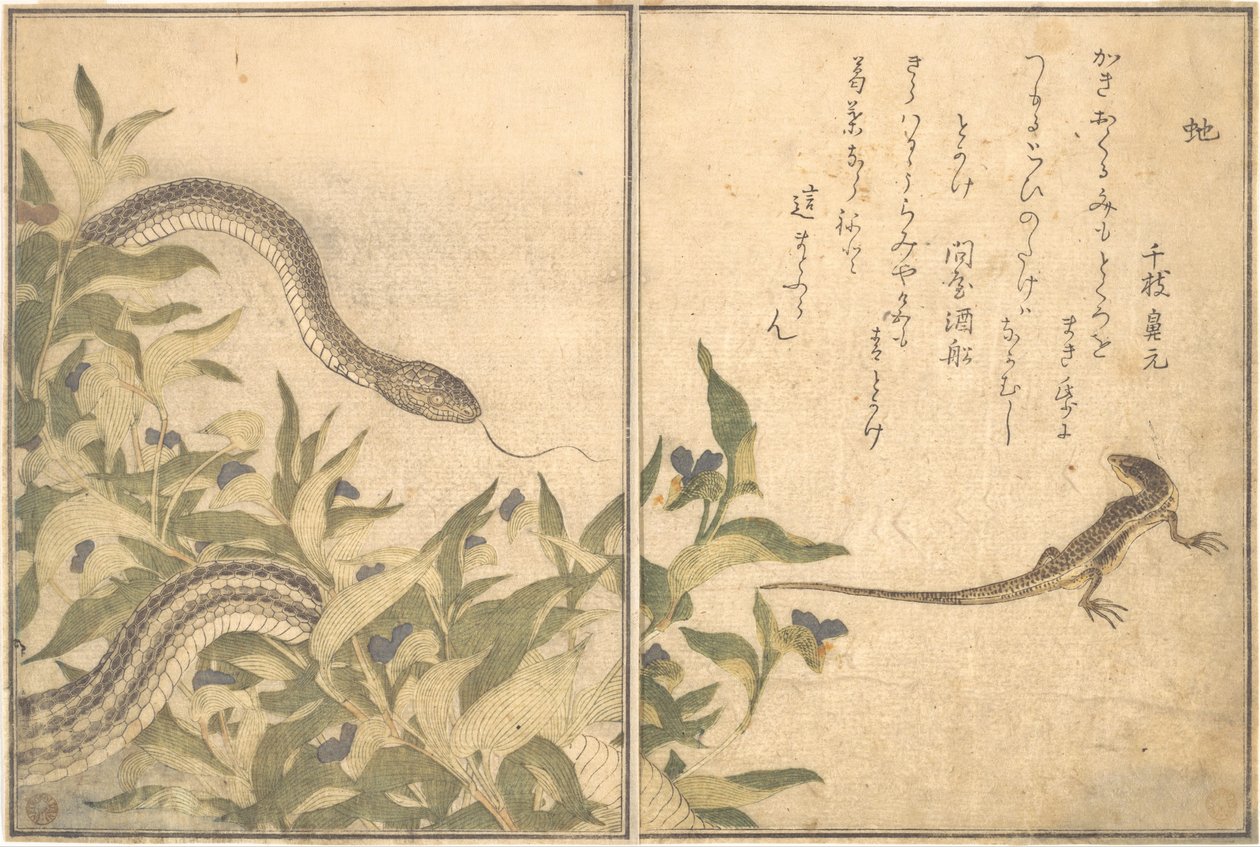 Rat Snake; Lizard or Skink, from the Picture Book of Crawling Creatures by Kitagawa Utamaro