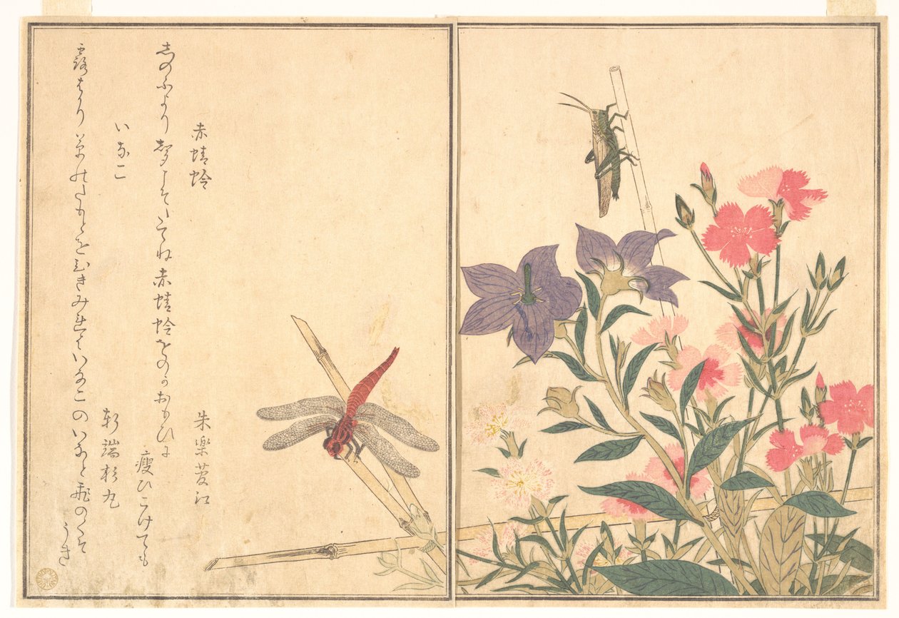 Red Dragonfly; Locust, from the Picture Book of Crawling Creatures by Kitagawa Utamaro