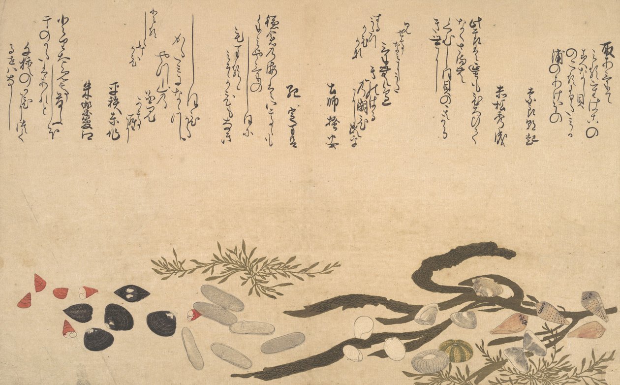 Shells under Water, 1790 by Kitagawa Utamaro