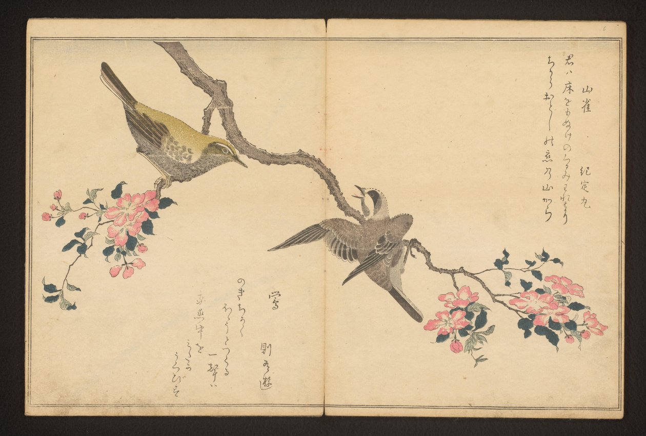Tit and bush warbler by Kitagawa Utamaro