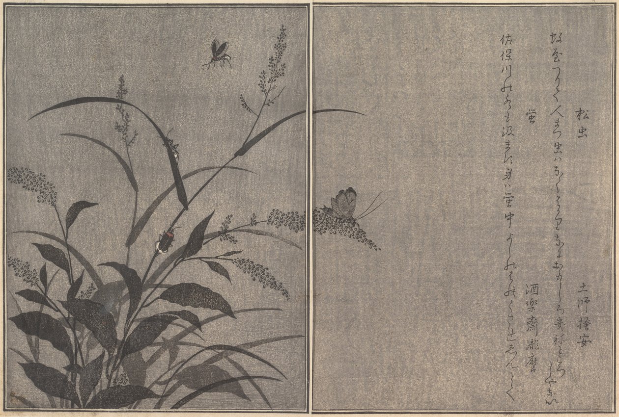 Tree Cricket Matsumushi, Firefly Hotaru by Kitagawa Utamaro