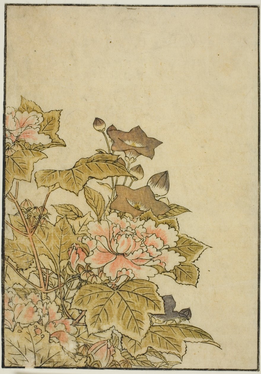 Autumn Flowers: Peonies and Bellflowers, from the book 