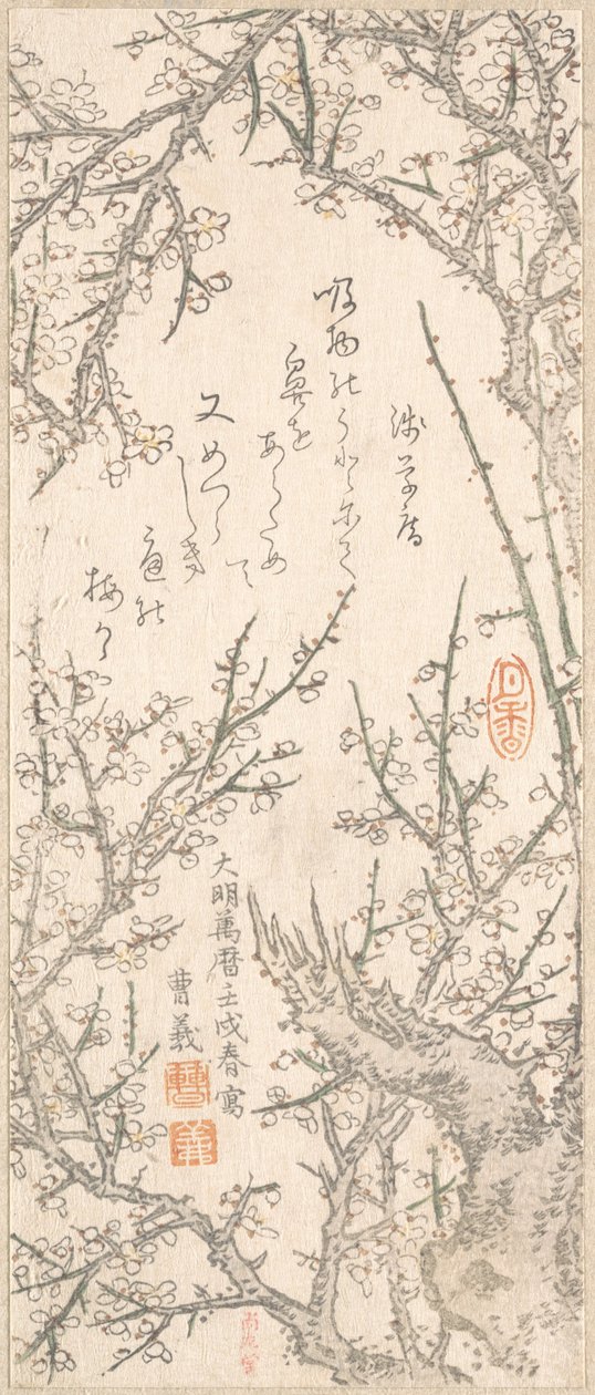 Plum Tree in Blossom by Kitao Shigemasa