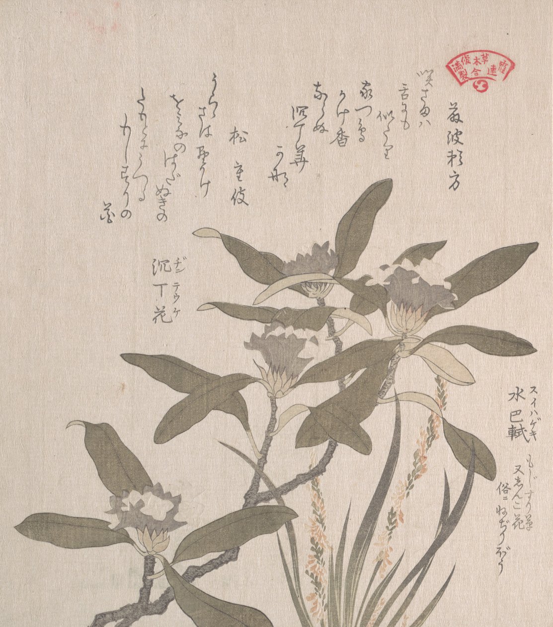 Daphne odora and Mojisuri-so by Kubo Shunman