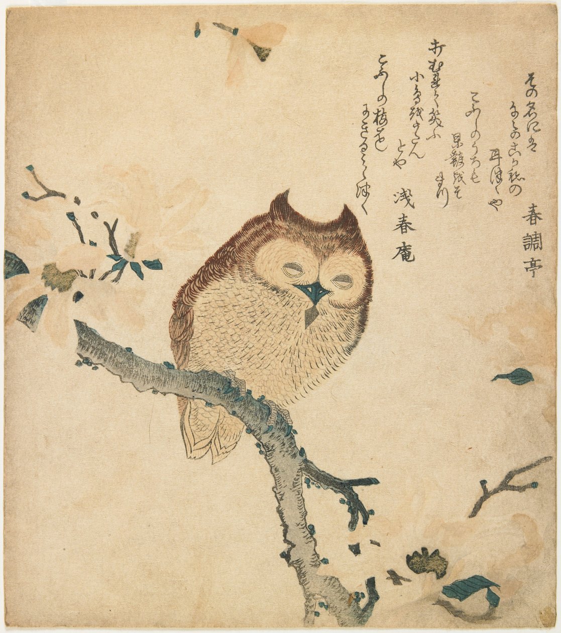 Horned Owl on Flowering Branch by Kubo Shunman