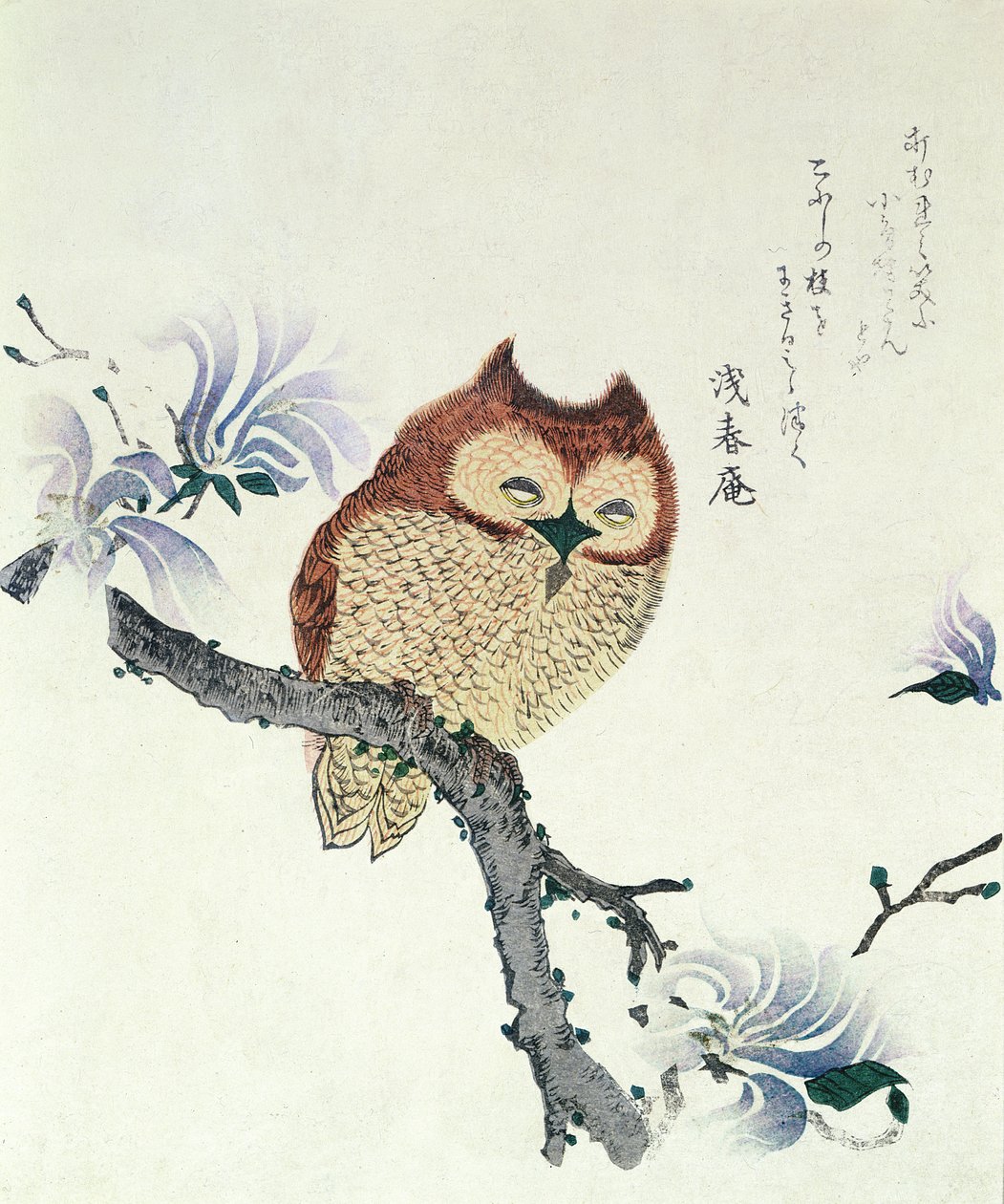Owl on a Magnolia Branch by Kubo Shunman