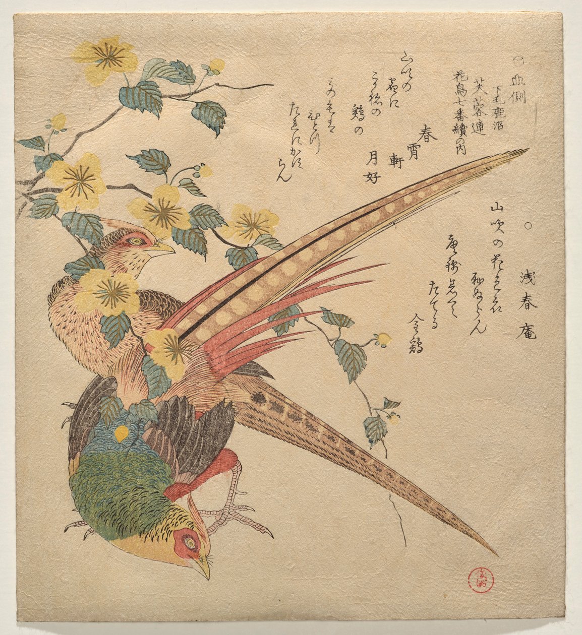 Pair of Chinese Pheasants and a Branch of Yamabuki Flowers by Kubo Shunman