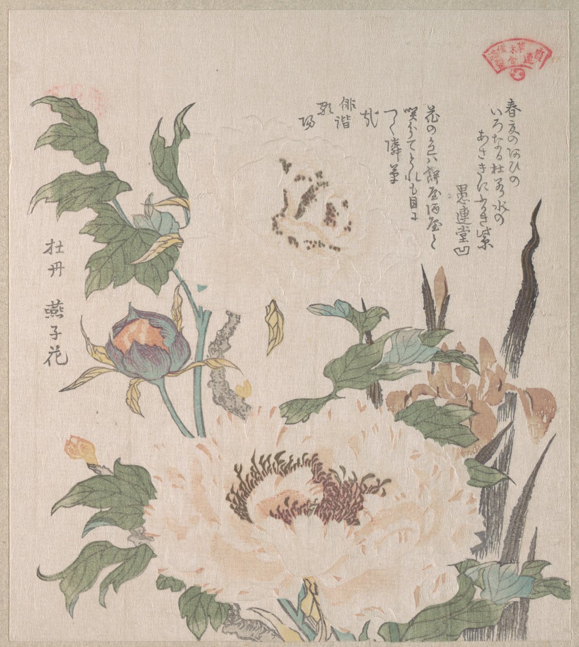 Peonies and Iris by Kubo Shunman