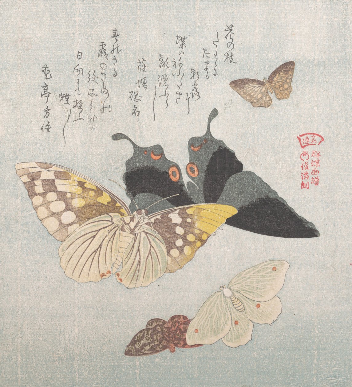 Various moths and butterflies, 19th century by Kubo Shunman