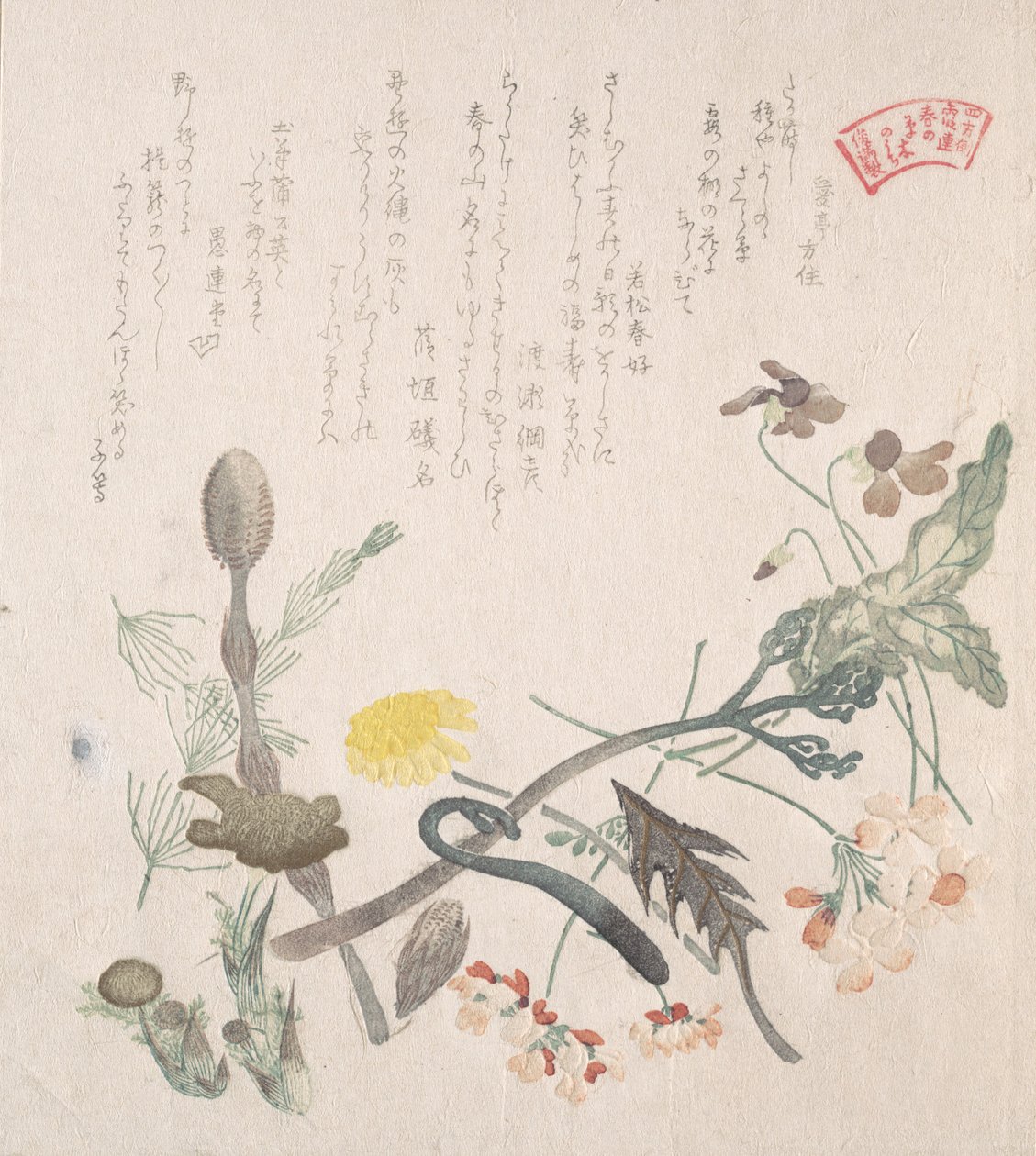 Violets, Primroses and Other Spring Flowers by Kubo Shunman