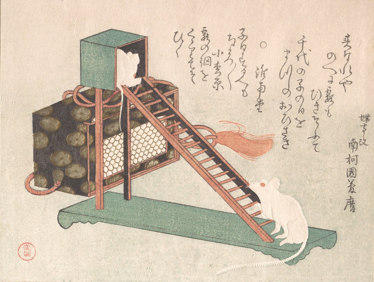 White Mice Playing, probably 1816 by Kubo Shunman
