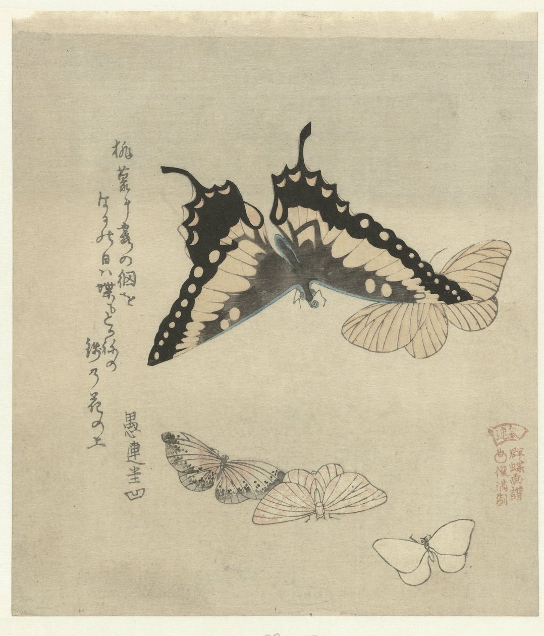 Five Butterflies by Kubota Shunman