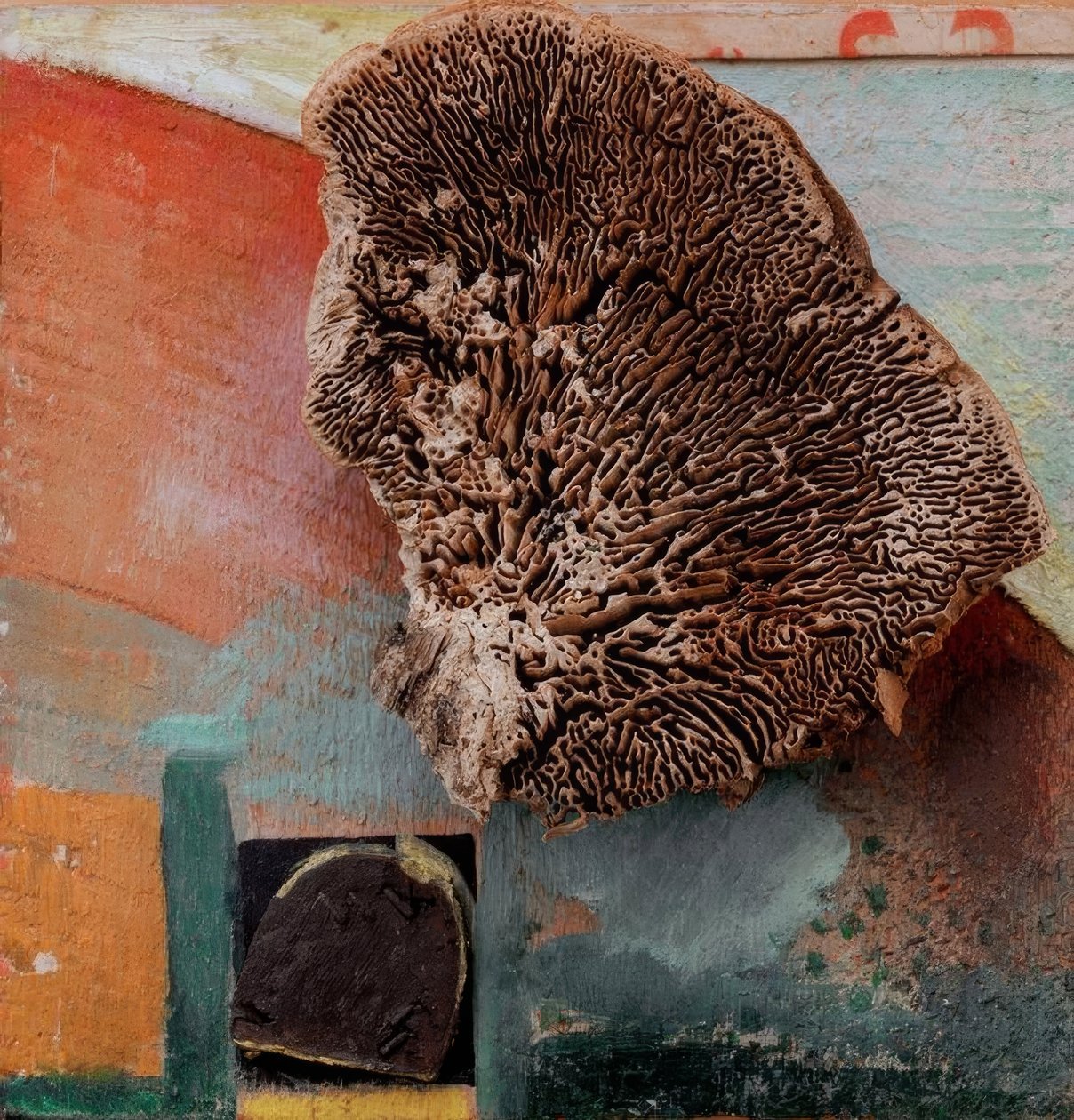 Untitled (Merz Picture with Coral) by Kurt Schwitters