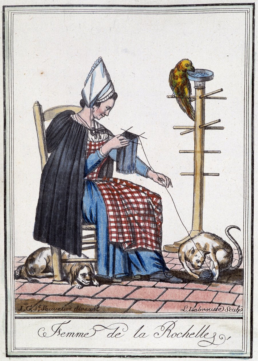 Woman of La Rochelle knitting with a dog, a parrot and a cat playing with the ball of wool by L.F. Labrousse