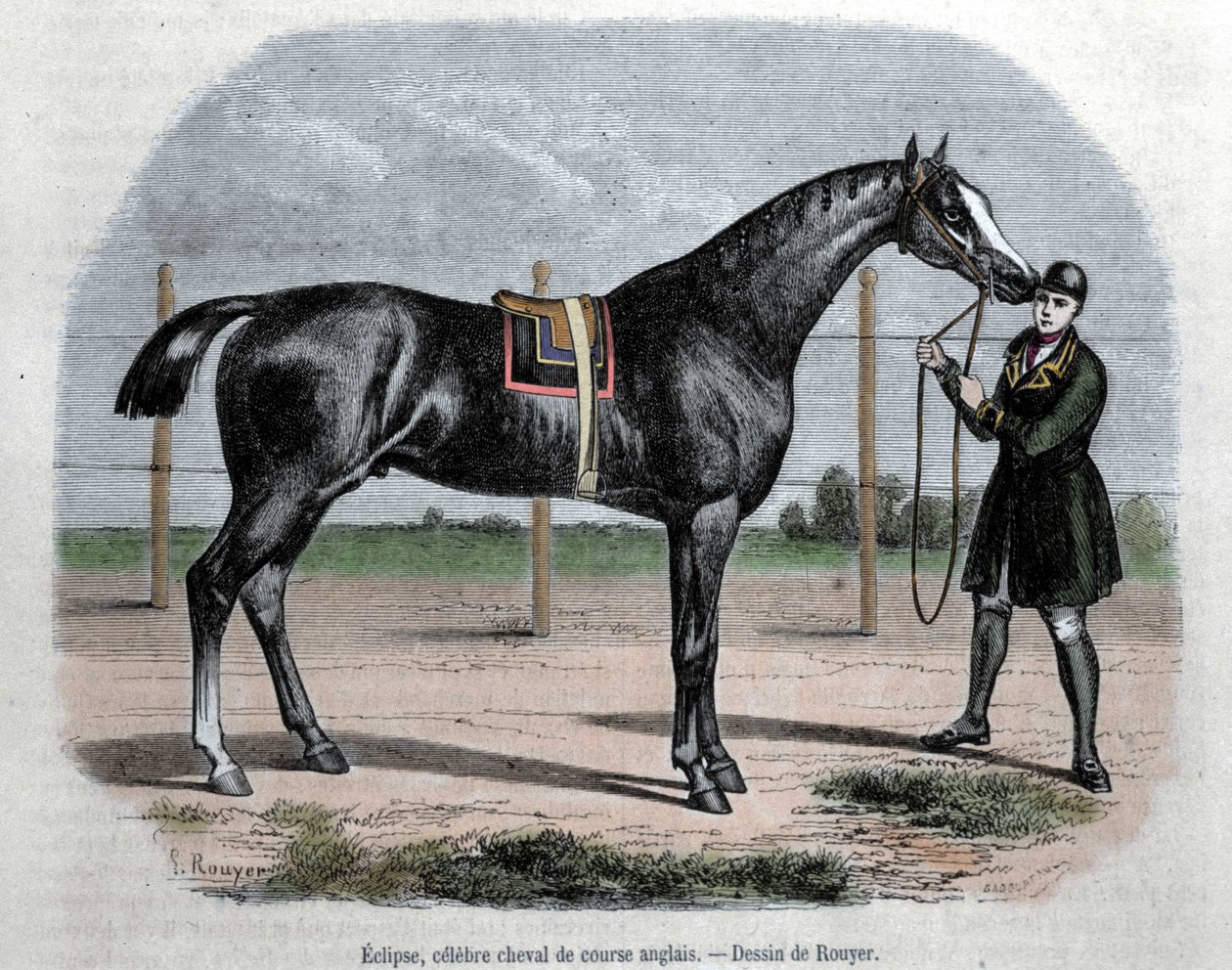 The English racing horse Eclipse. Illustration by Rouyer by L. (after) Rouyer