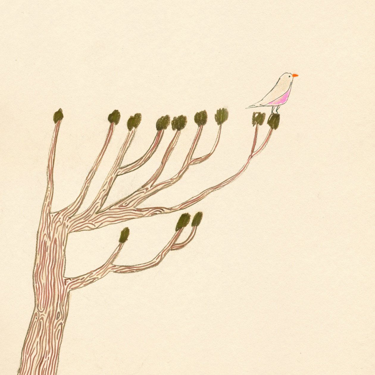 Bird on a Tree by Léa Le Pivert