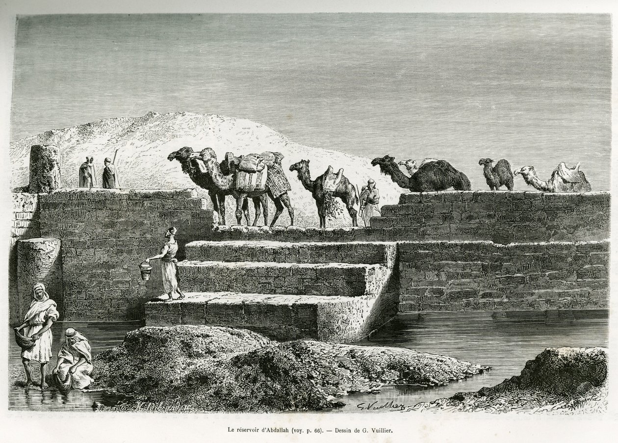 The Reservoir of Abdullah, Saudi Arabia, illustration from 