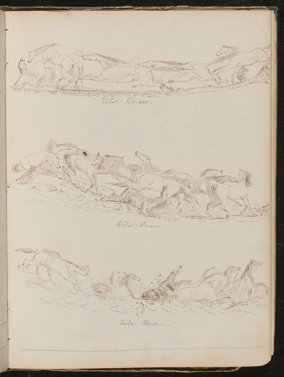 Three Studies of Horses Galloping Freely by Lady Butler