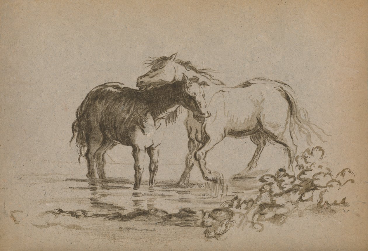 Horses by Lady Diana Spencer