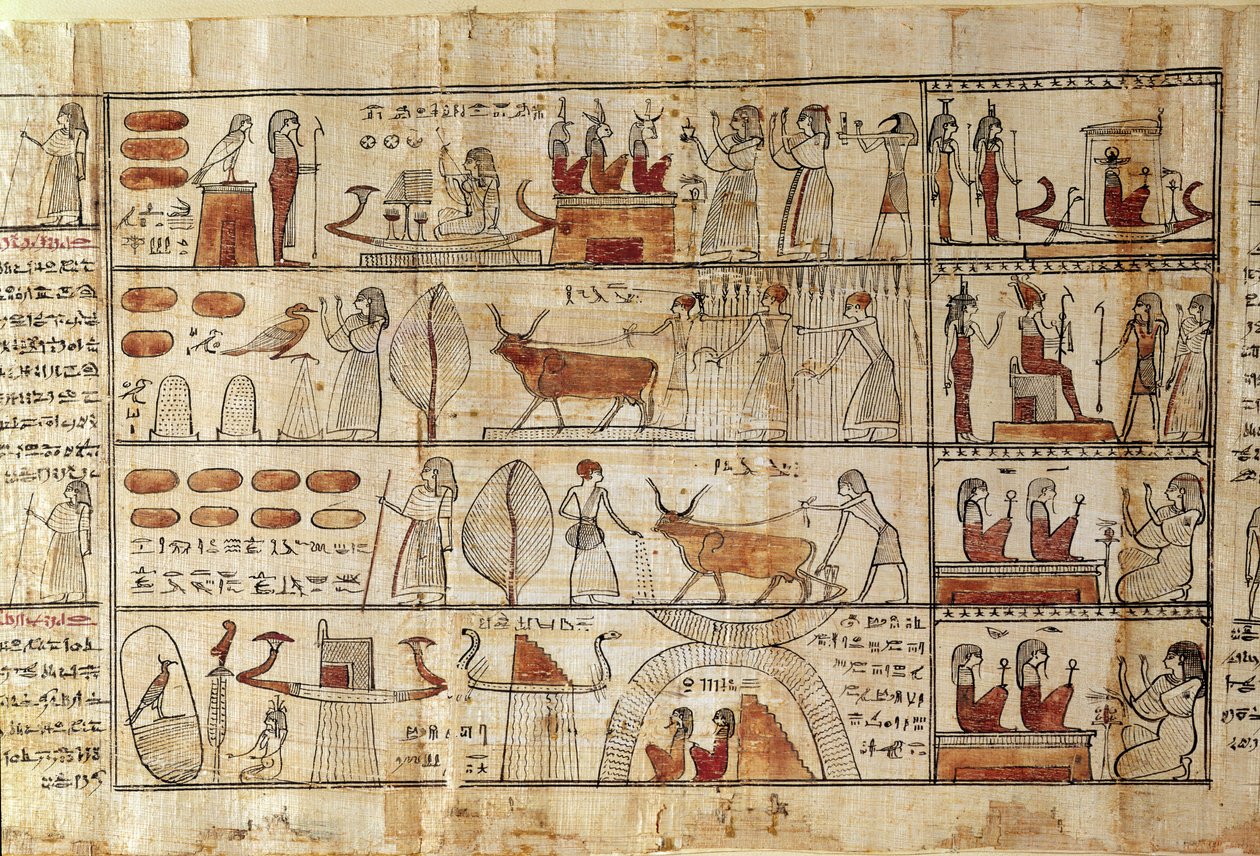 Agricultural Scenes (detail) by Late Period Egyptian