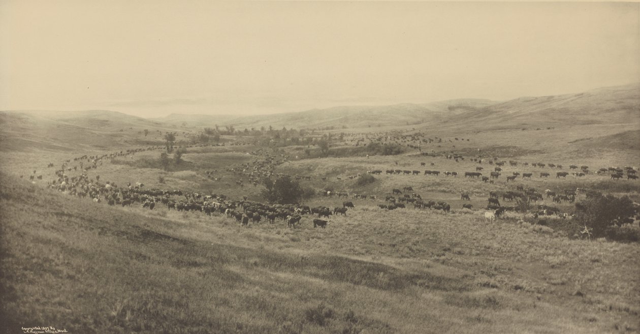 Throwing Rangers to the Roundup by Laton Alton Huffman
