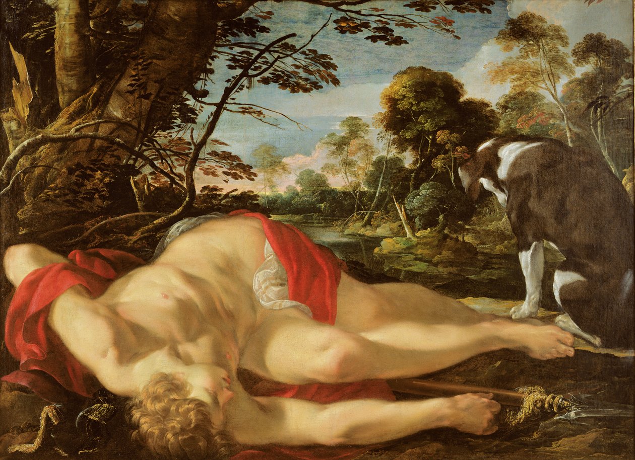Dead Adonis by Laurent de la Hyre