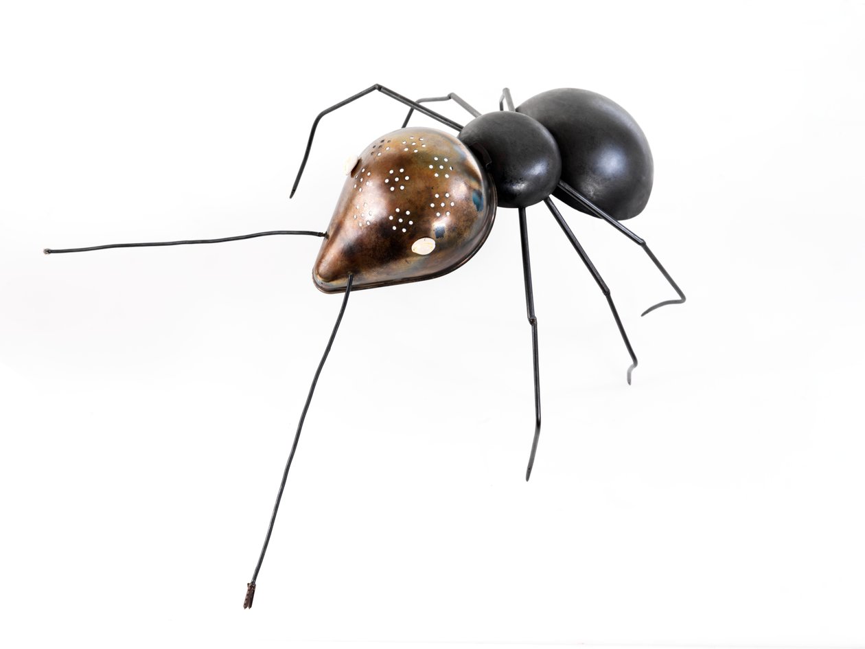 The Ant by Lawrie Simonson