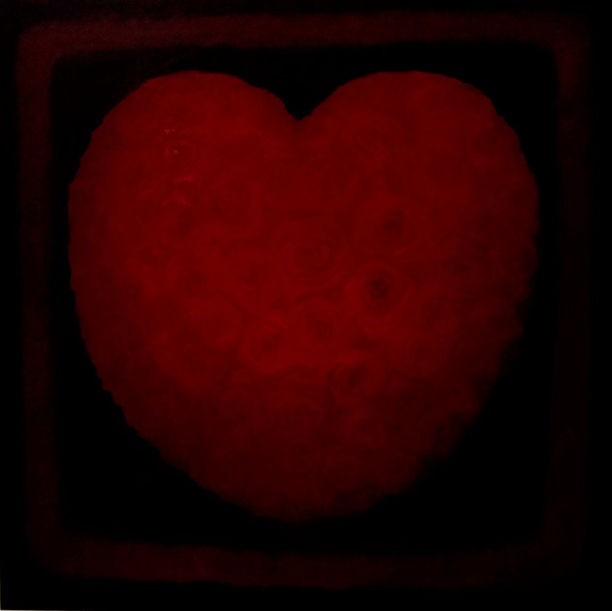 Big Love by Lee Campbell