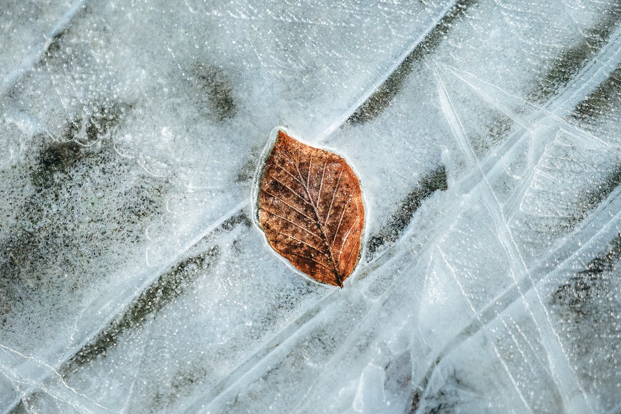 Before the Thaw by Lee Cooper