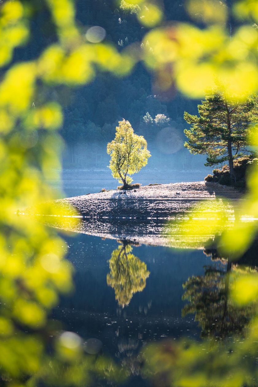 Druid’s Rest II by Lee Cooper