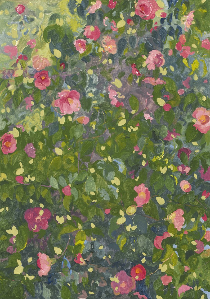 Camellia in Flower by Leigh Glover