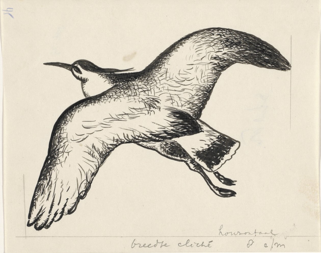 Flying Bird by Leo Gestel