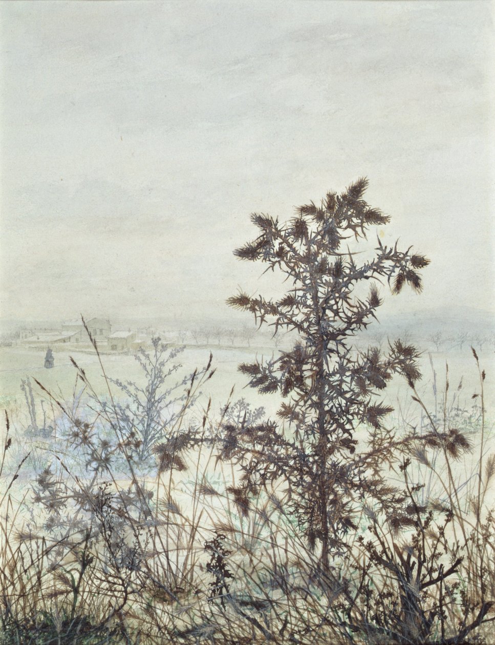 Thistles and Weeds, 1864 by Léon Bonvin