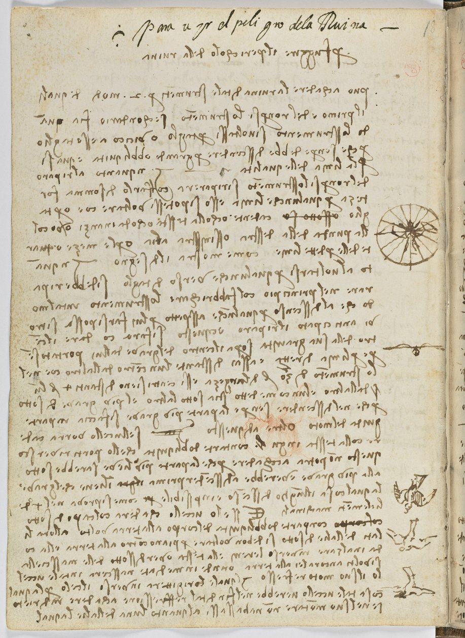Birds Flight Code, Sheet 12 Verso by Leonardo da Vinci