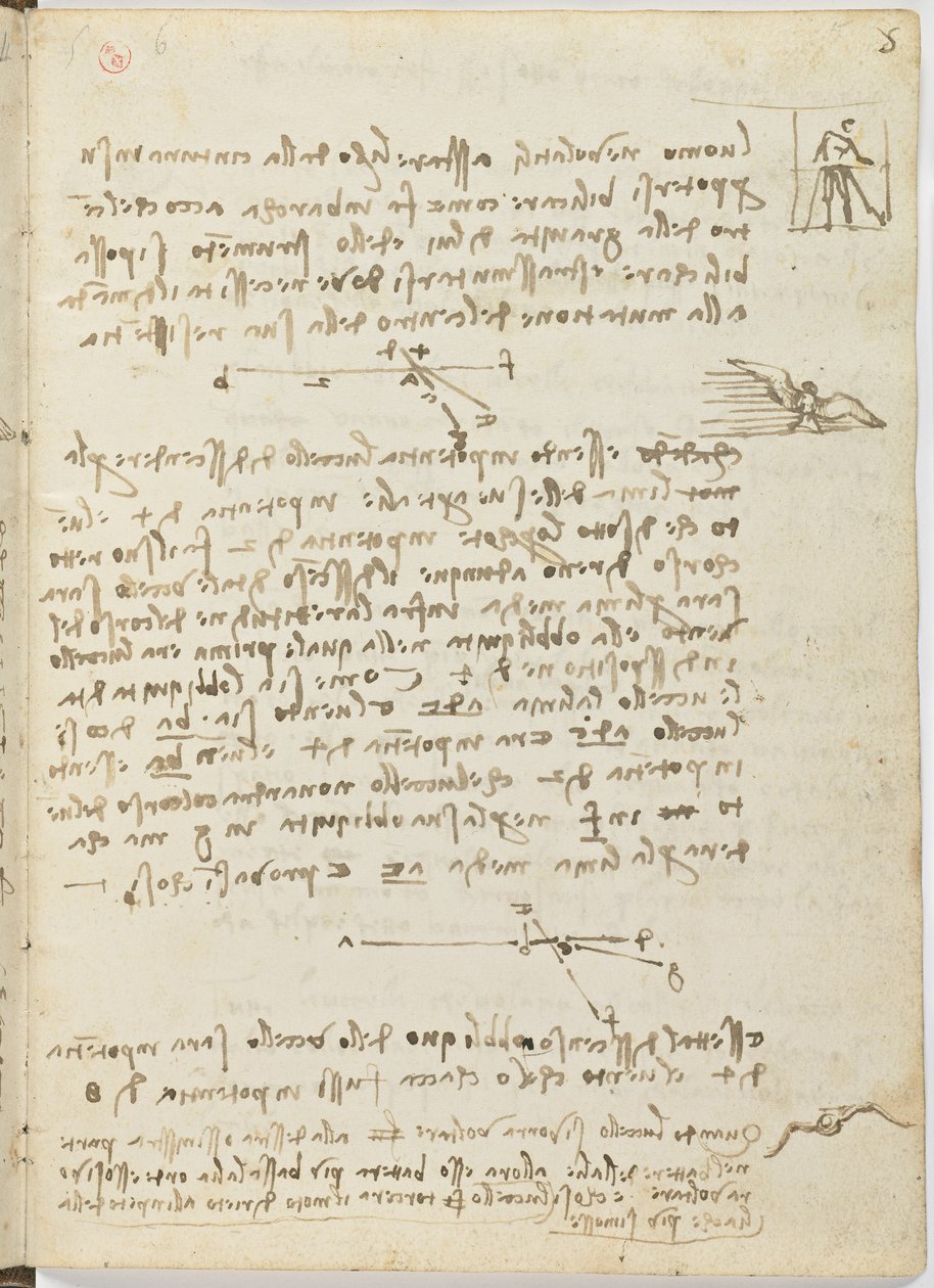 Birds Flight Code, Sheet 5 Recto by Leonardo da Vinci