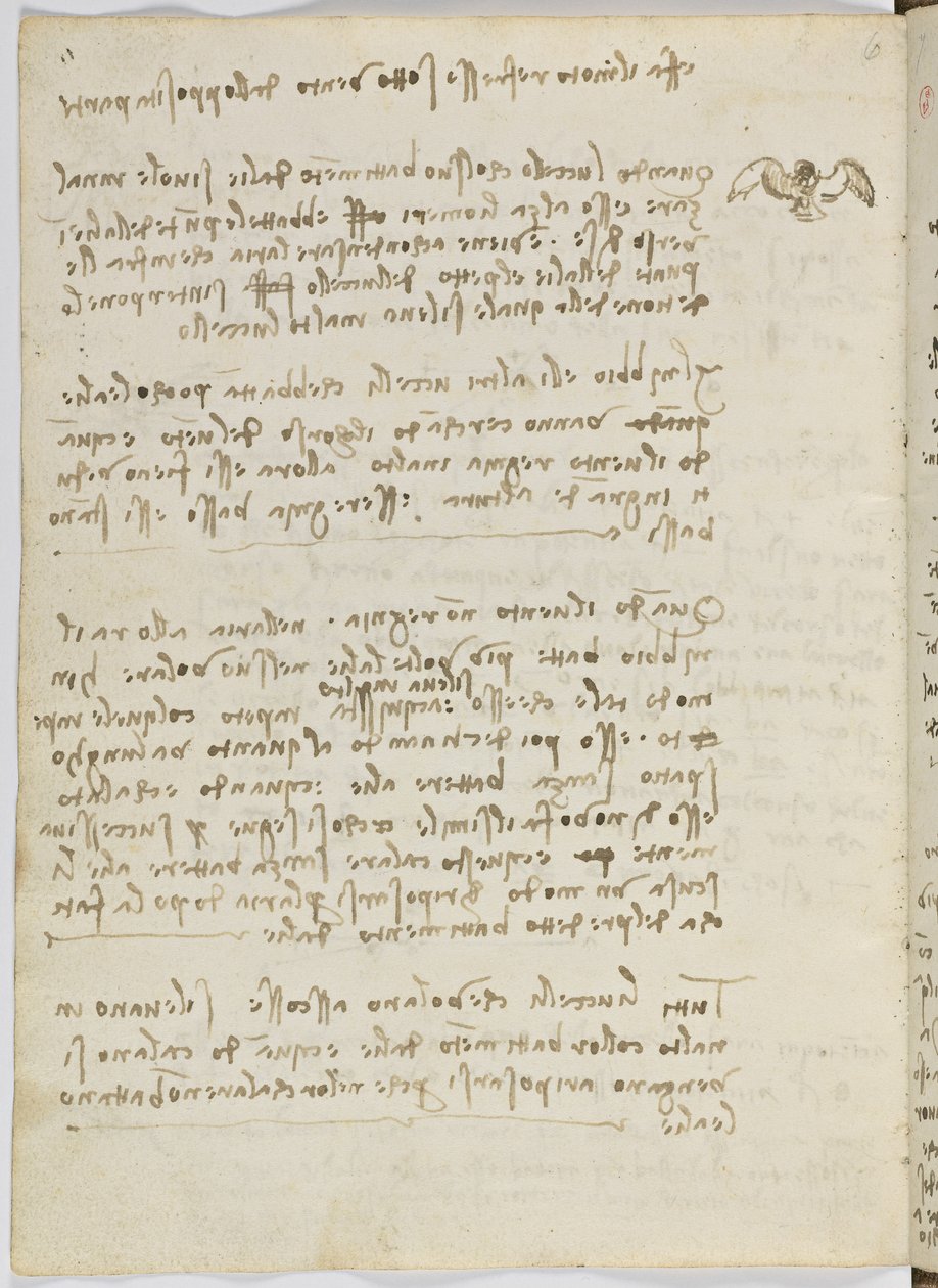 Birds Flight Code, Sheet 5 Verso by Leonardo da Vinci