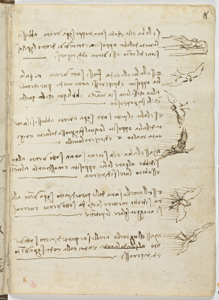 Birds Flight Code, Sheet 8 Recto by Leonardo da Vinci