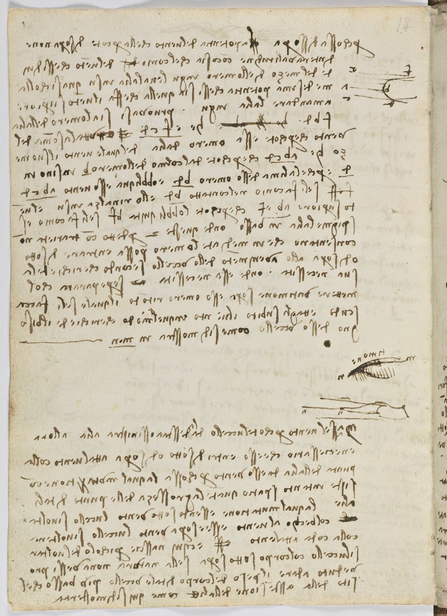 Birds Flight Code, Sheet 9 Verso by Leonardo da Vinci