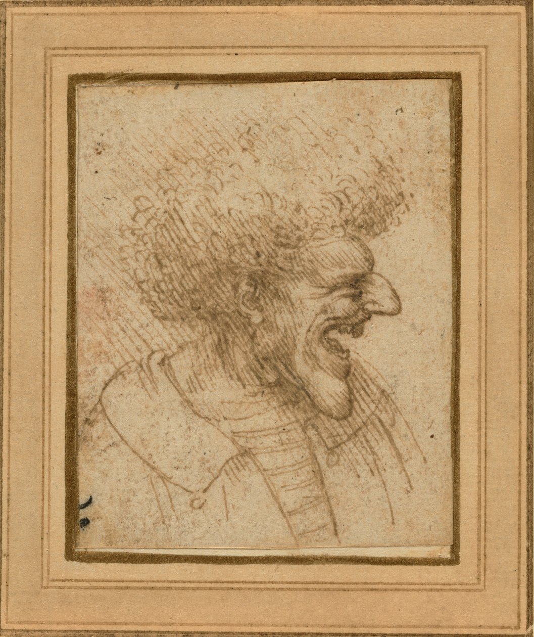 Caricature of a Man with Bushy Hair, c.1495 by Leonardo da Vinci