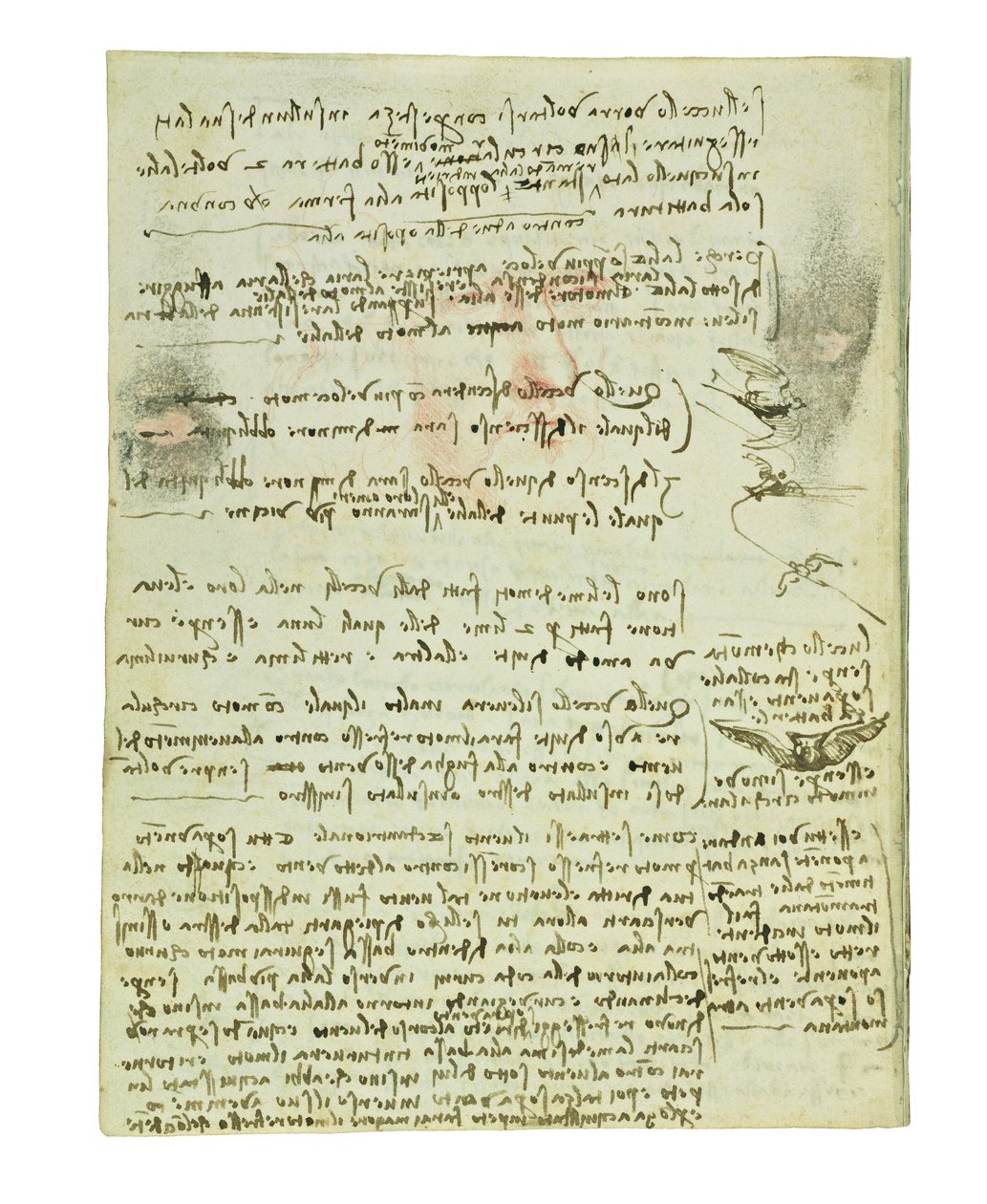 Codex on the Flight of Birds, Folio 10 Verso