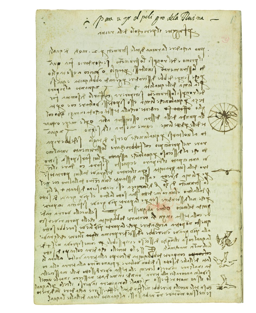 Codex on the Flight of Birds, Folio 12 Verso by Leonardo da Vinci