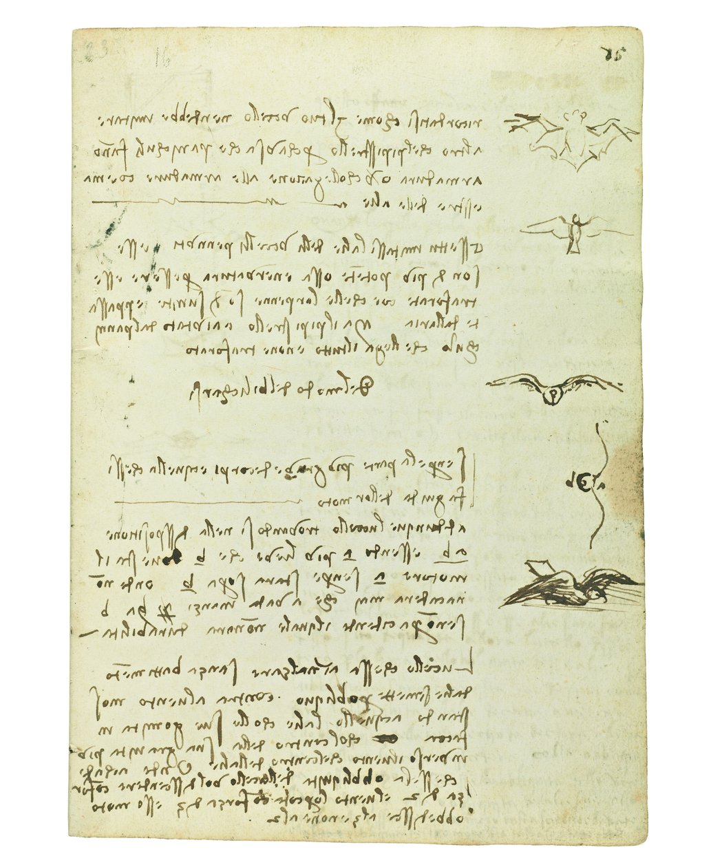 Codex on the Flight of Birds, Folio 15 Recto by Leonardo da Vinci