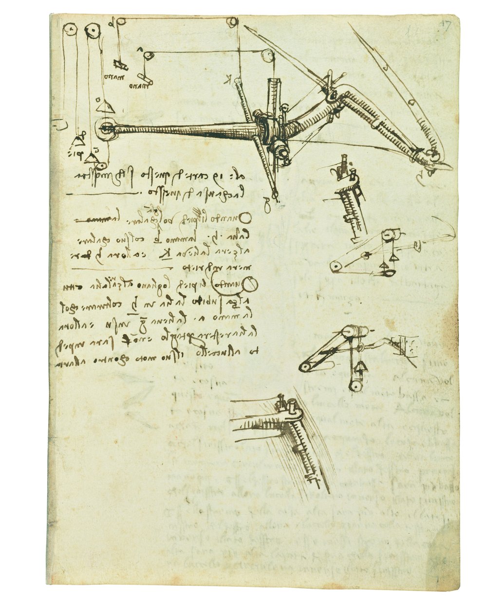 Codex on the Flight of Birds, Folio 17 Recto by Leonardo da Vinci