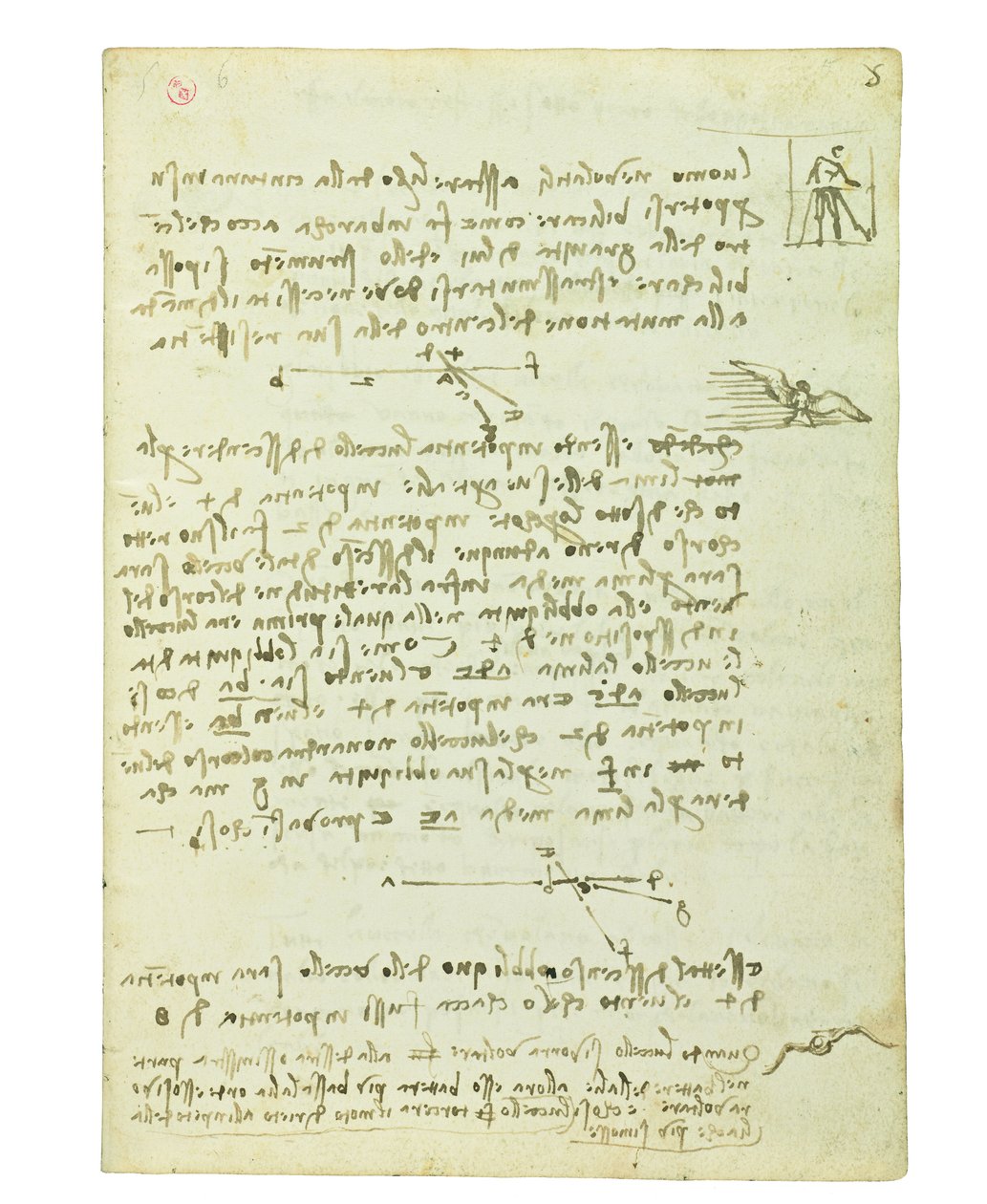 Codex on the Flight of Birds, Folio 5 Recto by Leonardo da Vinci