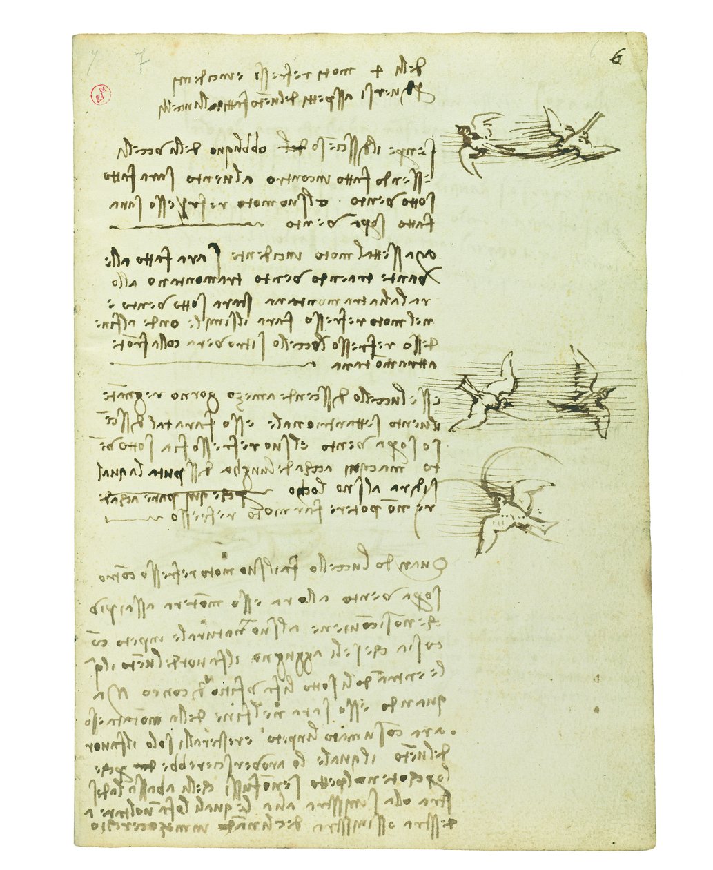 Codex on the Flight of Birds, Folio 6 Recto by Leonardo da Vinci