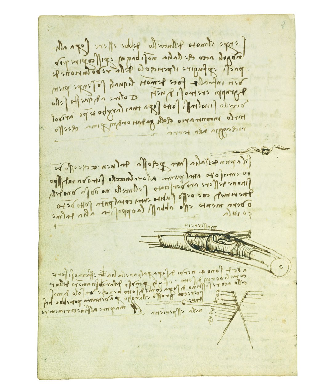 Codex on the Flight of Birds, Folio 6 Verso by Leonardo da Vinci