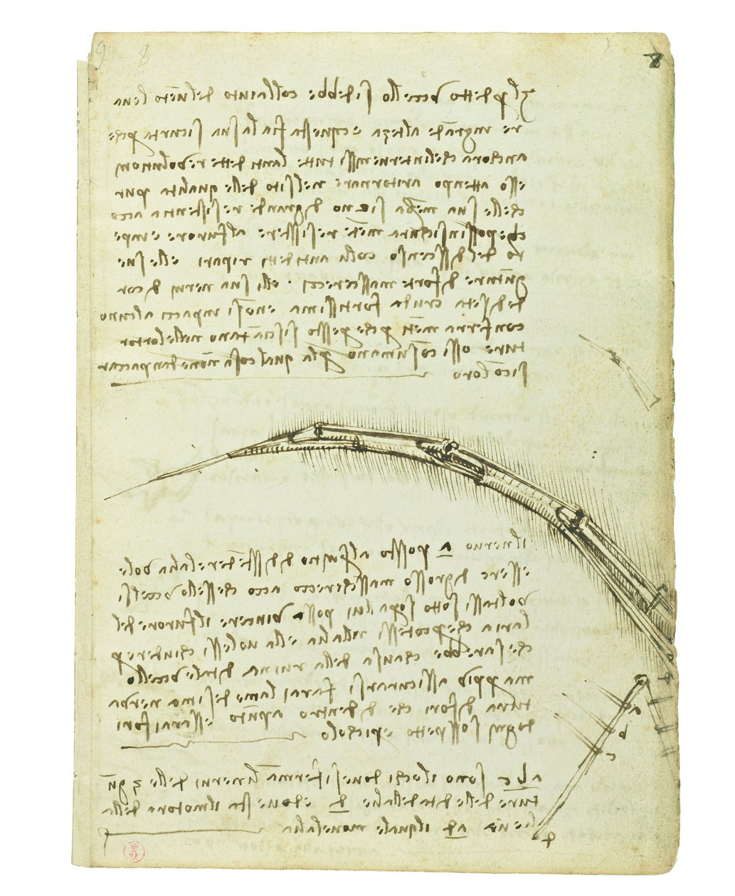 Codex on the Flight of Birds, Folio 7 Recto by Leonardo da Vinci