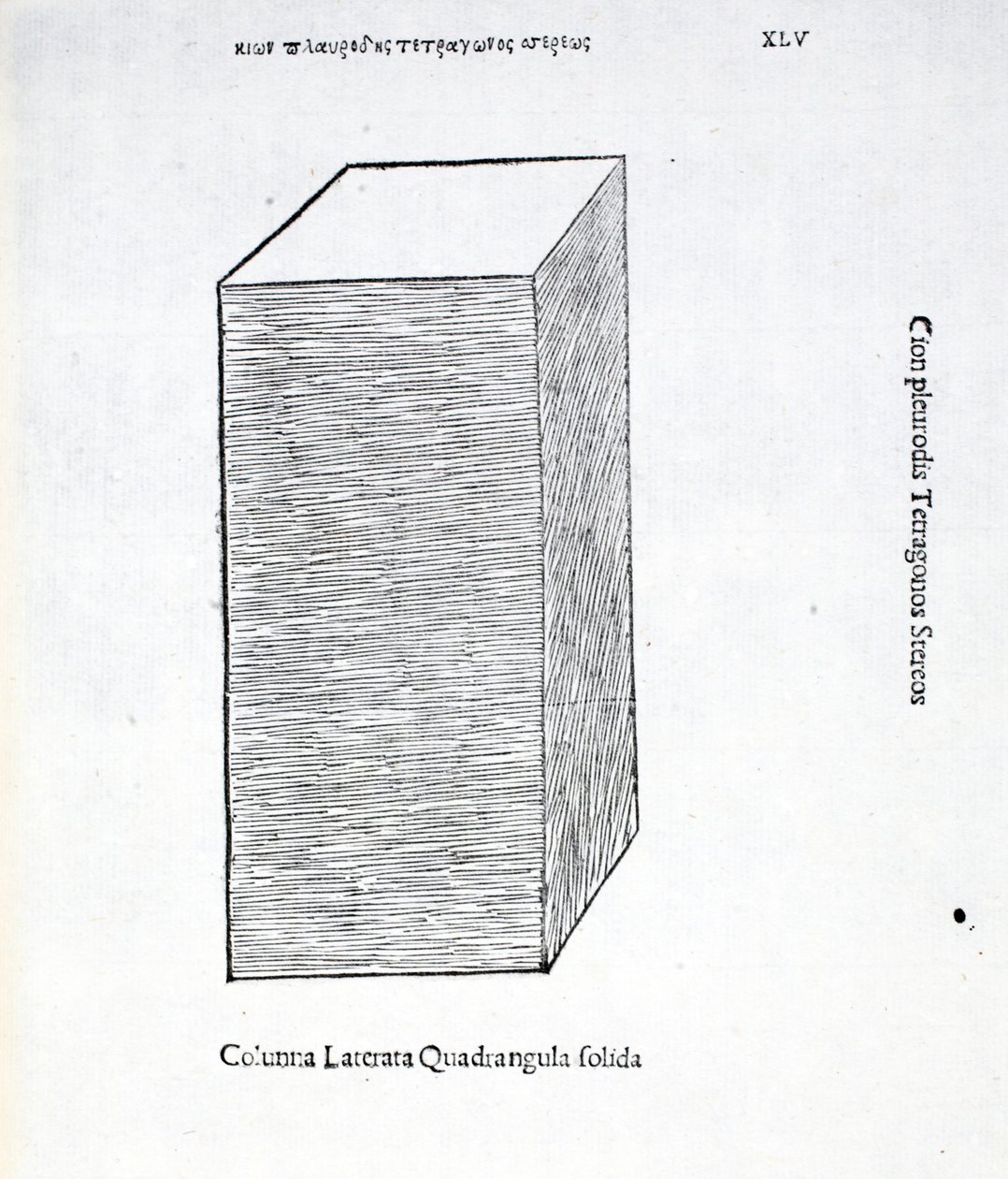 Columna laterata quadrangula solida, illustration from 