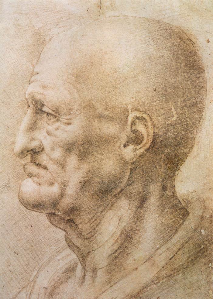 Profile of an old man by Leonardo da Vinci