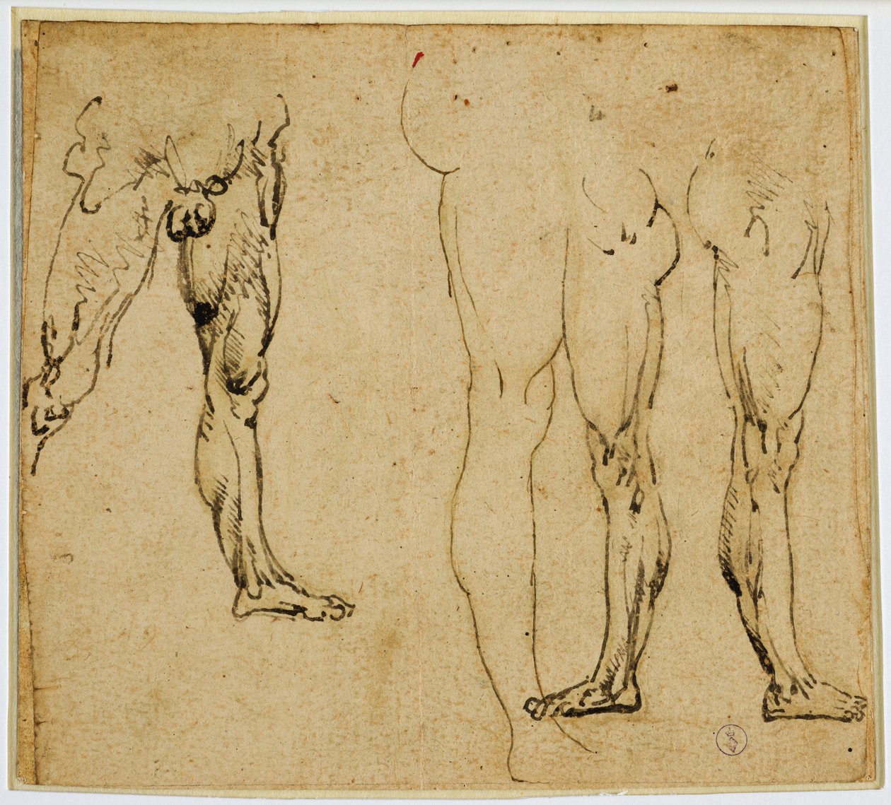 Studies of manly legs, c. 1485-1487 by Leonardo da Vinci